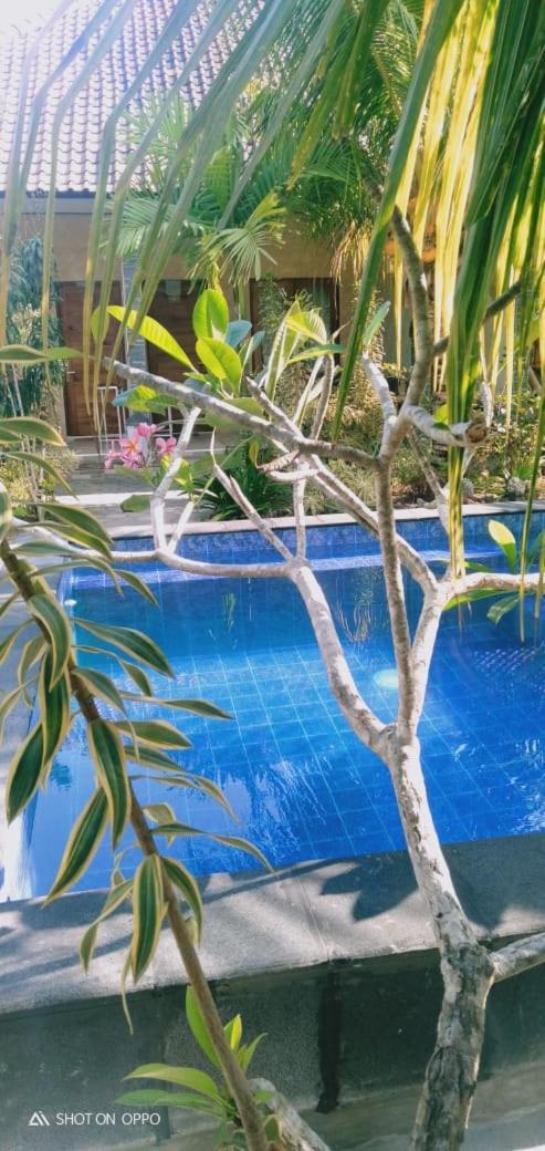Belong Home Stay Lembongan Exteriér fotografie