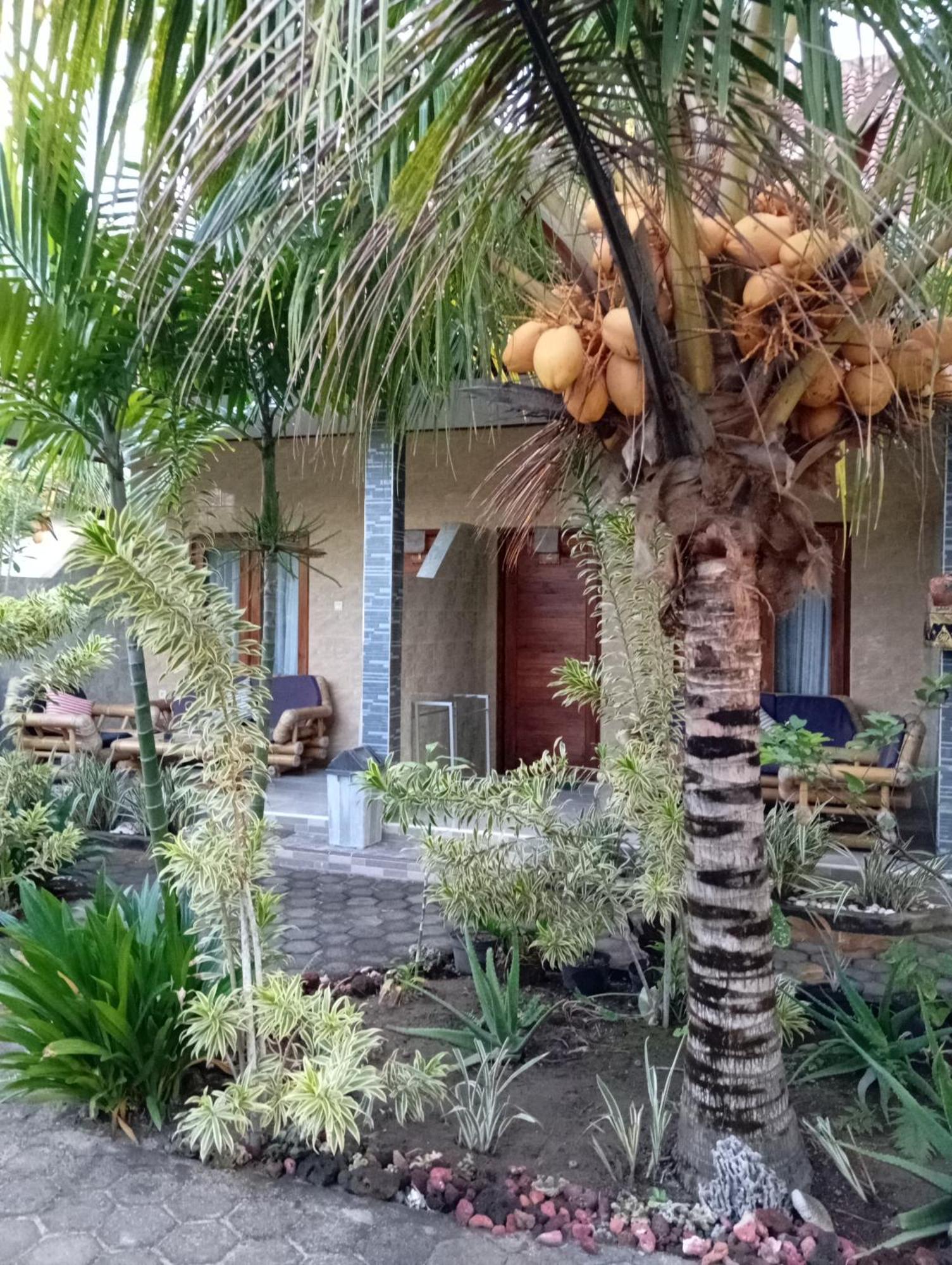 Belong Home Stay Lembongan Pokoj fotografie